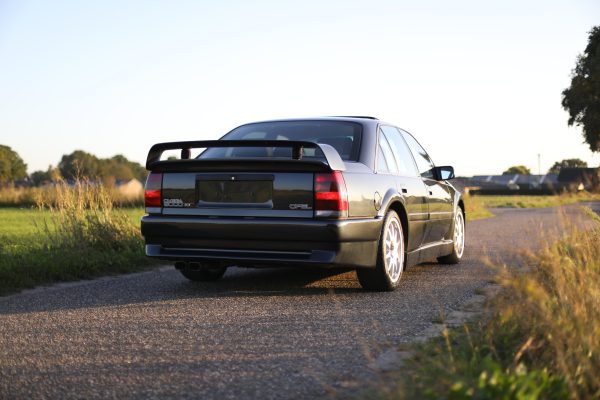 5M8A3542