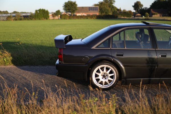5M8A3586