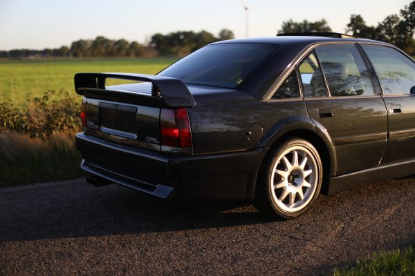 5M8A3619