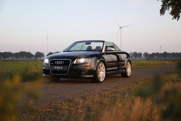 5M8A3906