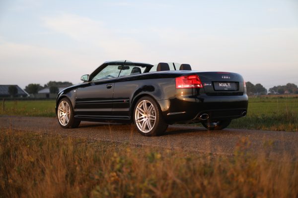 5M8A3911