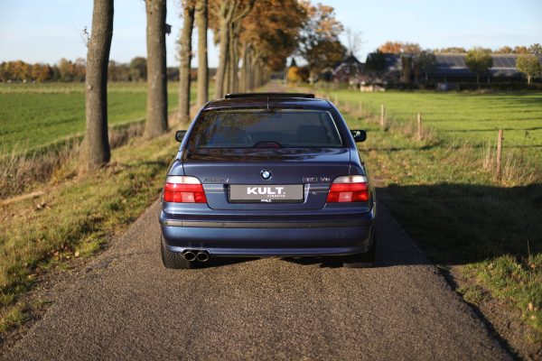 5M8A4942