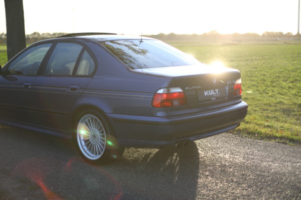 5M8A5195