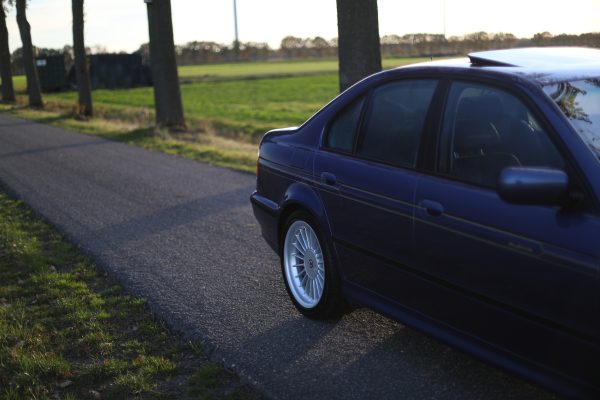 5M8A5230