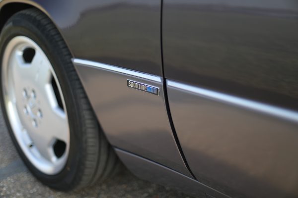 5M8A7035
