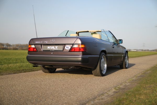 5M8A7068